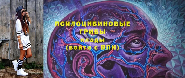 ALPHA-PVP Няндома