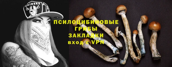 альфа пвп Новозыбков