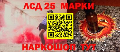 дмт Донской