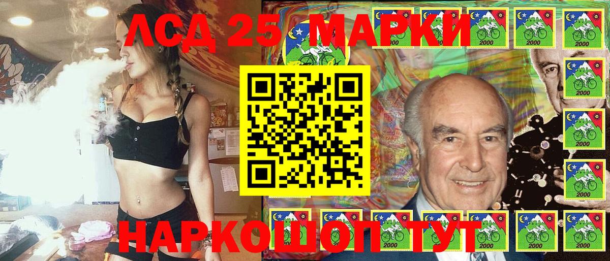 Псилоцибиновые грибы Каменка