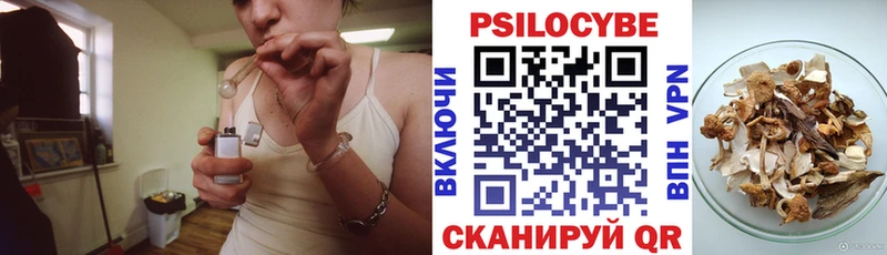 Галлюциногенные грибы Cubensis  Каменка 