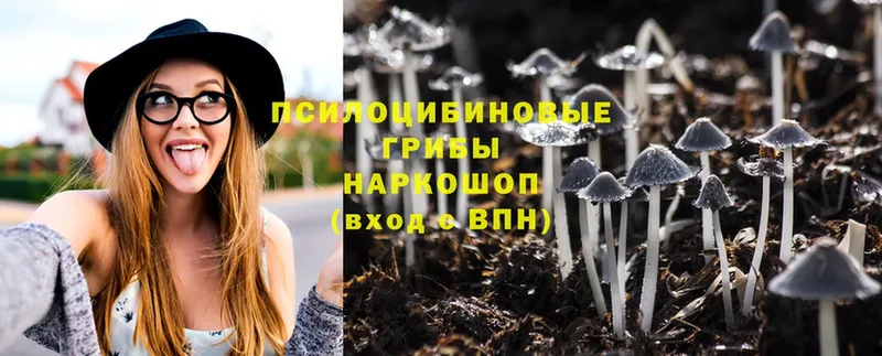 Псилоцибиновые грибы MAGIC MUSHROOMS  закладки  Каменка 