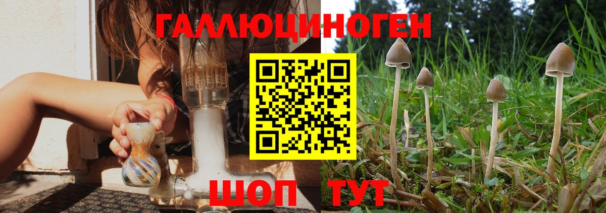 Каменка  Галлюциногенные грибы Magic Shrooms  Вход с VPN 
